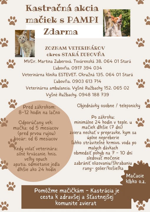 Kastračná akcia mačiek