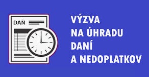 logo vyzva